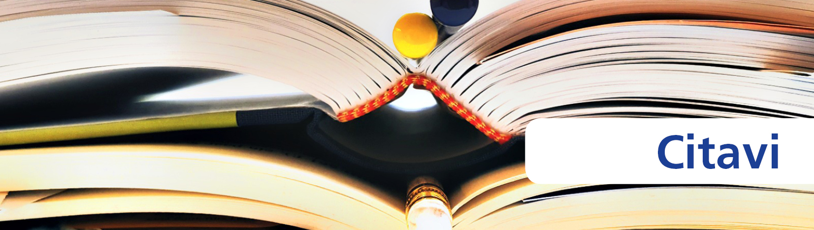 KIT lllustration Literaturverwaltung Citavi