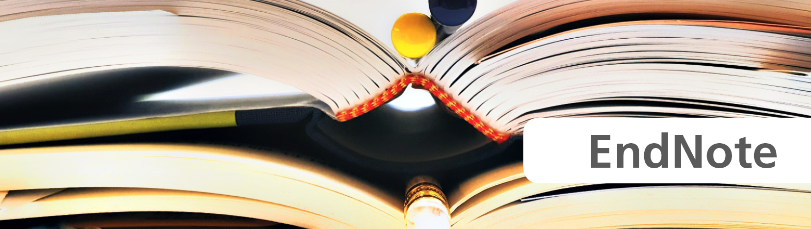 KIT lllustration Literaturverwaltung EndNote
