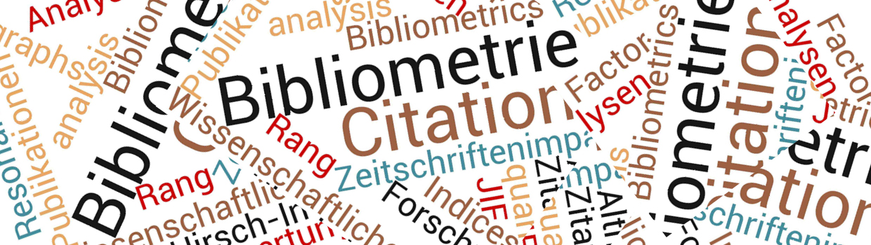 KIT Tagcloud Bibliometrie