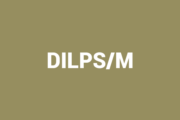 Abgeschlossenes Projekt DILPS/M
